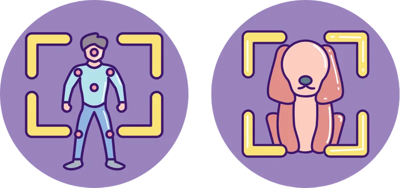 Object Detection